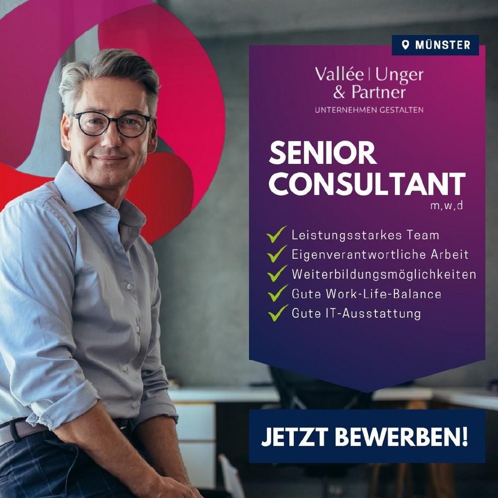 Senior Consultant (m/w/d) (Vollzeit | Münster)